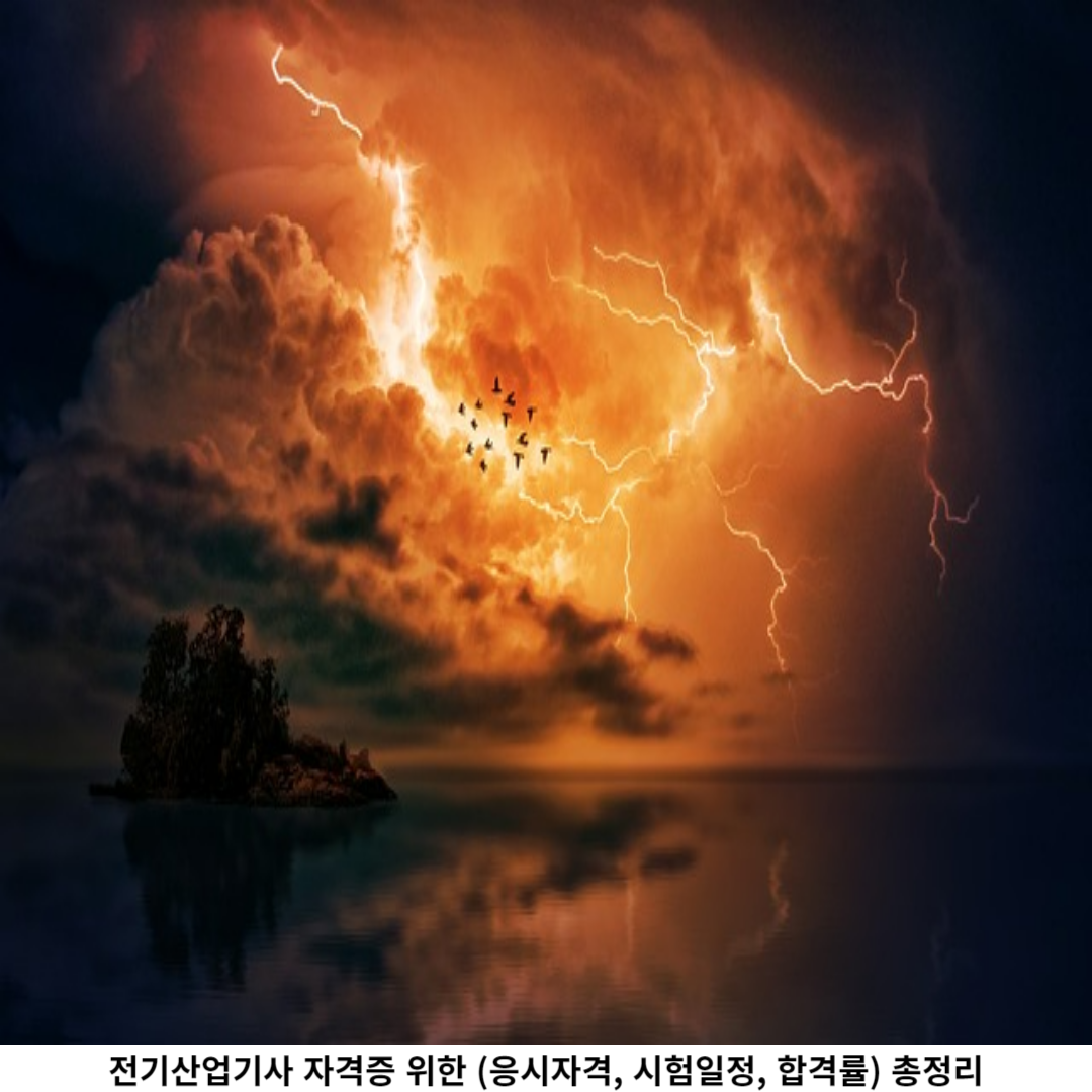 합격률 (최근 5년 통계)