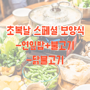 스페셜보양식