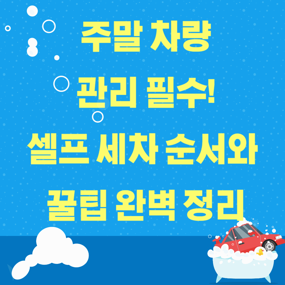 주말 차량 관리 필수! 셀프 세차 순서와 꿀팁 완벽 정리