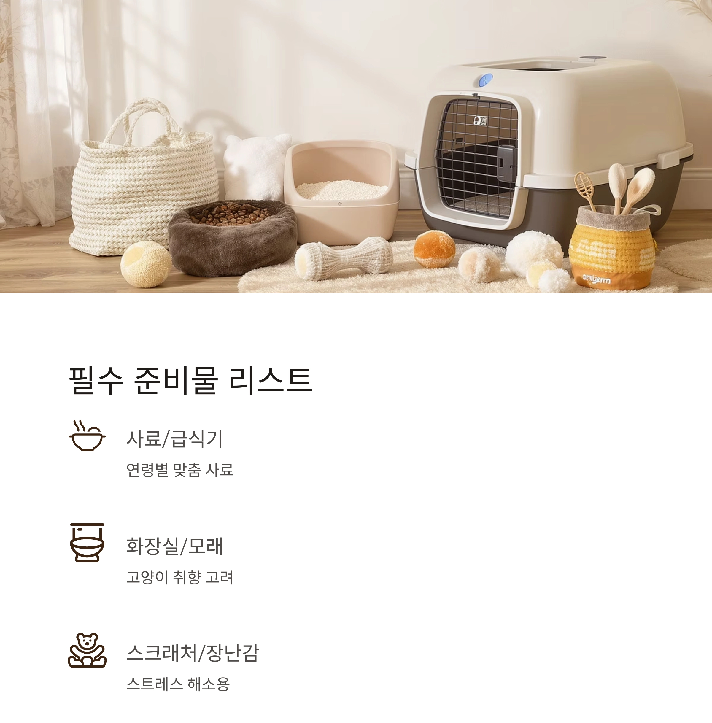 후회 없는 선택을 위한 고양이 입양 전 체크리스트