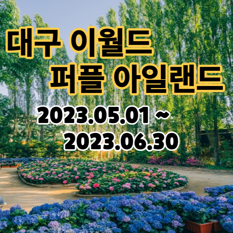 대구 이월드 퍼플 아일랜드 할인정보