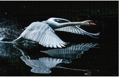 개인회생 신청자격 절차 총정리: 신청부터 인가까지 한 번에 알아보기