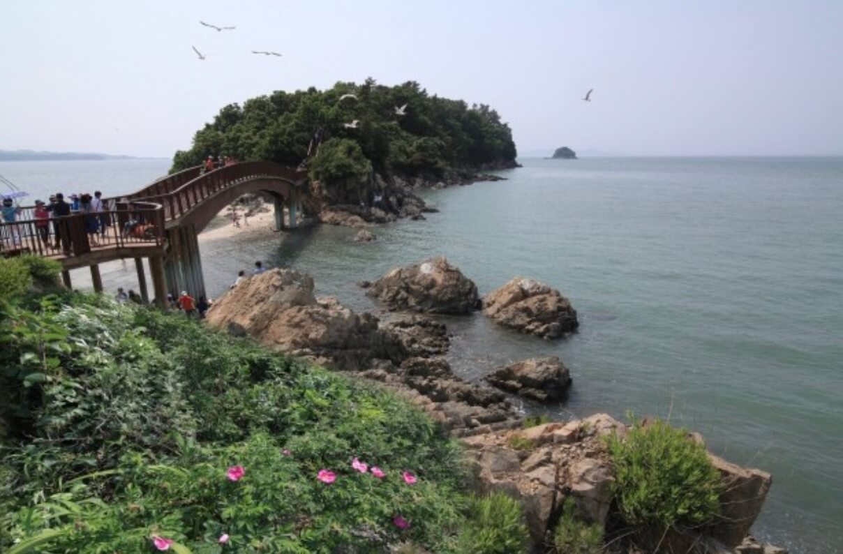 대부도 해솔길 1코스