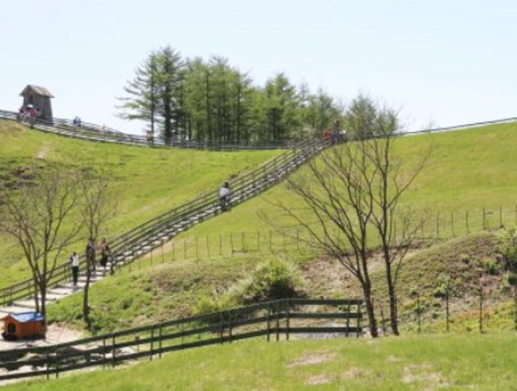 대관령 양떼목장