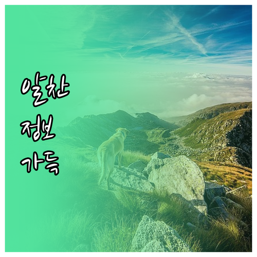 인사담당자 사로잡는 이력서 자기소개서..