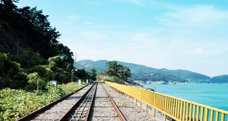 여수 레일바이크