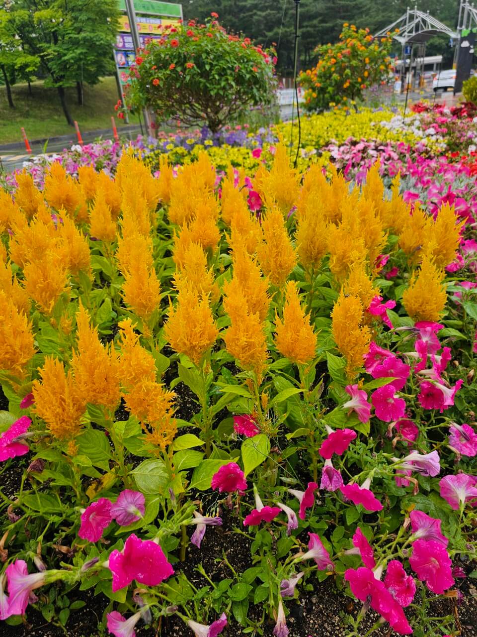 중증장애인 돌봄서비스 국가별 효과