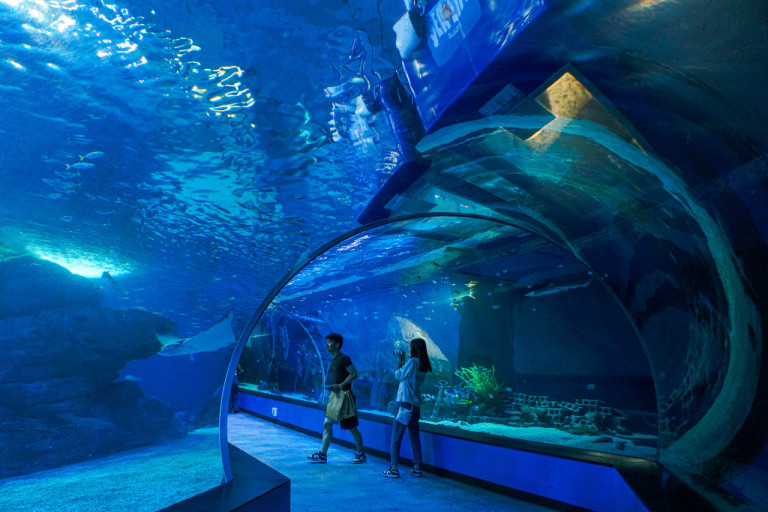 부산 아쿠아리움