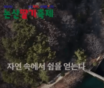 2025 논산 딸기 축제