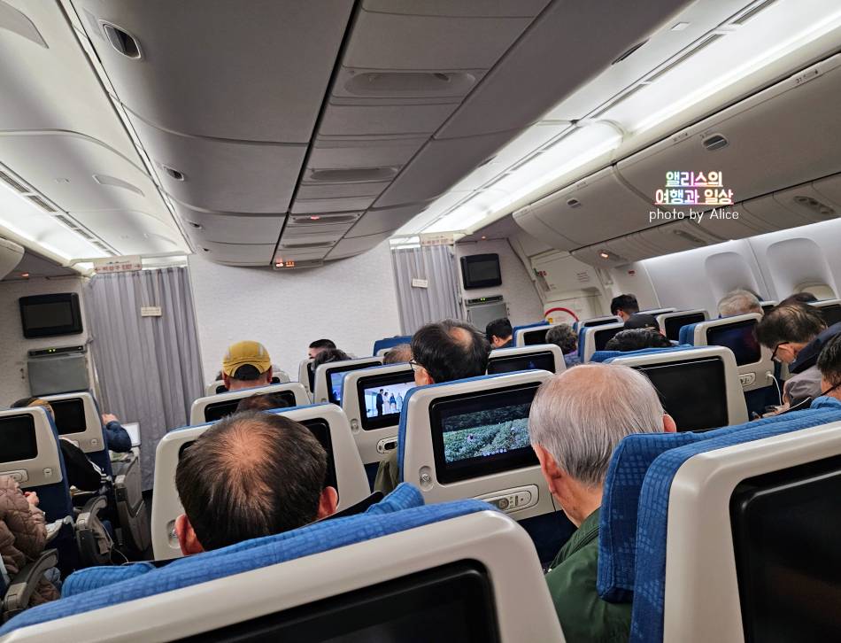 202403 부산 출발 내항기 / 인천 ICN - 시드니 SYD 대한항공 직항 후기