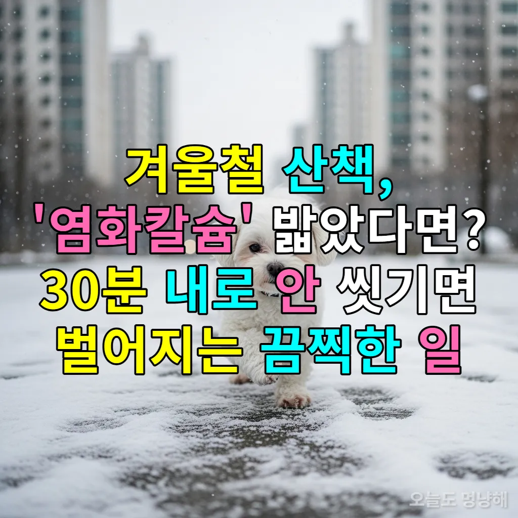 눈 내린 한국 거리에서 발이 시려워 발을 들고 있는 하얀 강아지, 바닥에 뿌려진 염화칼슘