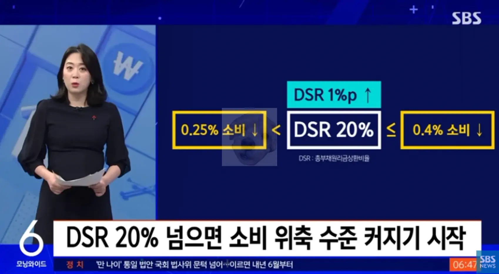 DSR 20% 넘으면 소비 위축 된다는 사진
