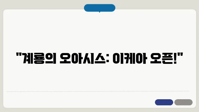 계룡 이케아