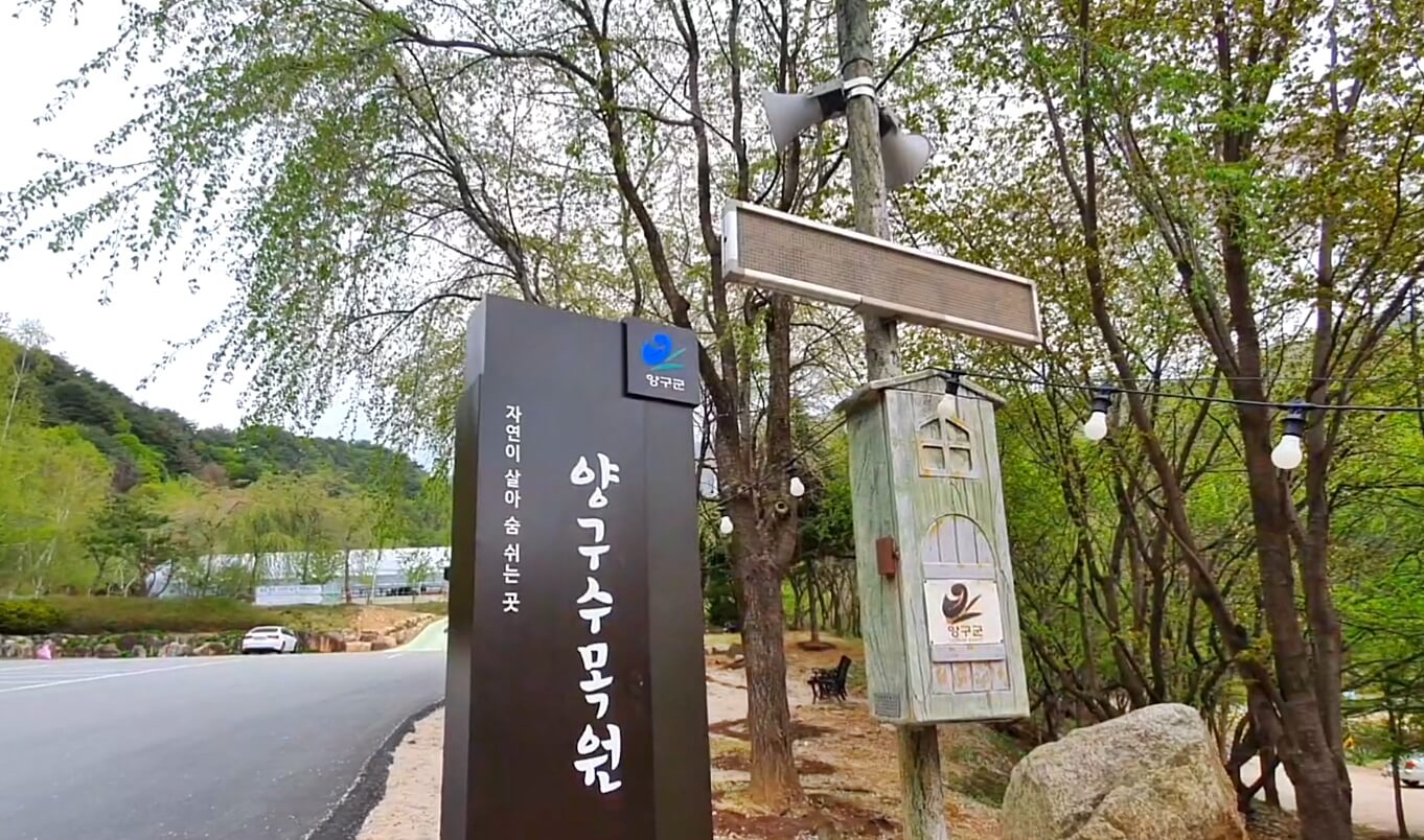 양구 수목원