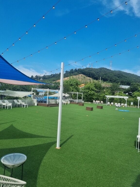 반려견과 함께 즐기는 용인 애견카페 총정리
