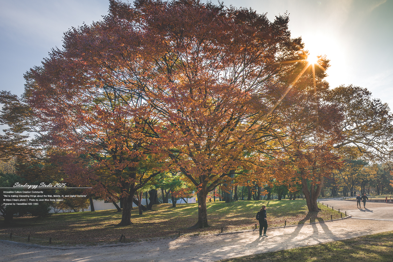 #서울 #창경궁 #궁궐 #조선 #왕