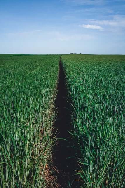 건축 예산을 완전히 뒤흔든 현실적인 귀촌 실패기