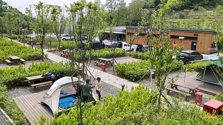 서울 캠핑 초보 캠핑장 추천_5