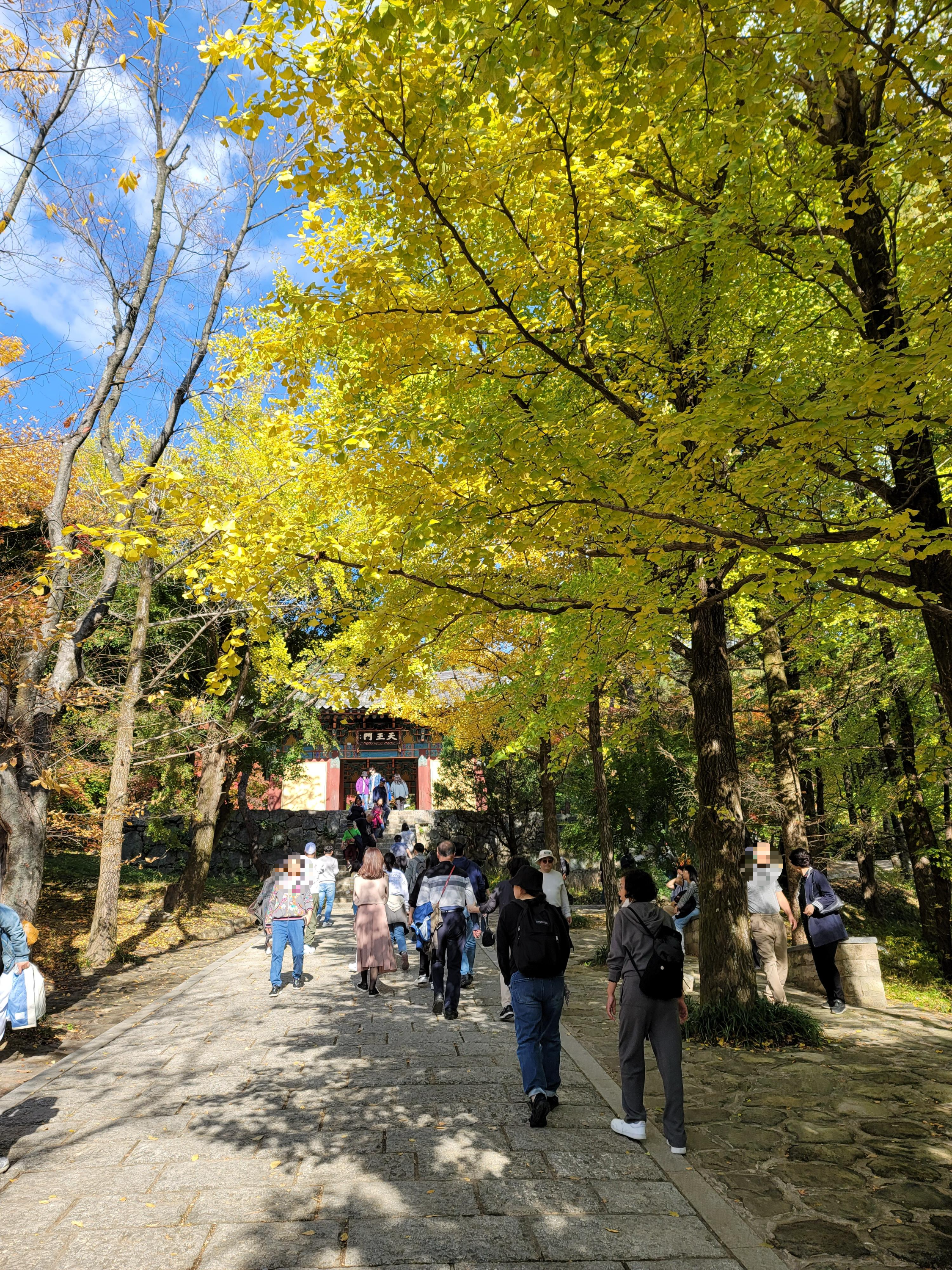 부석사 은행나무길