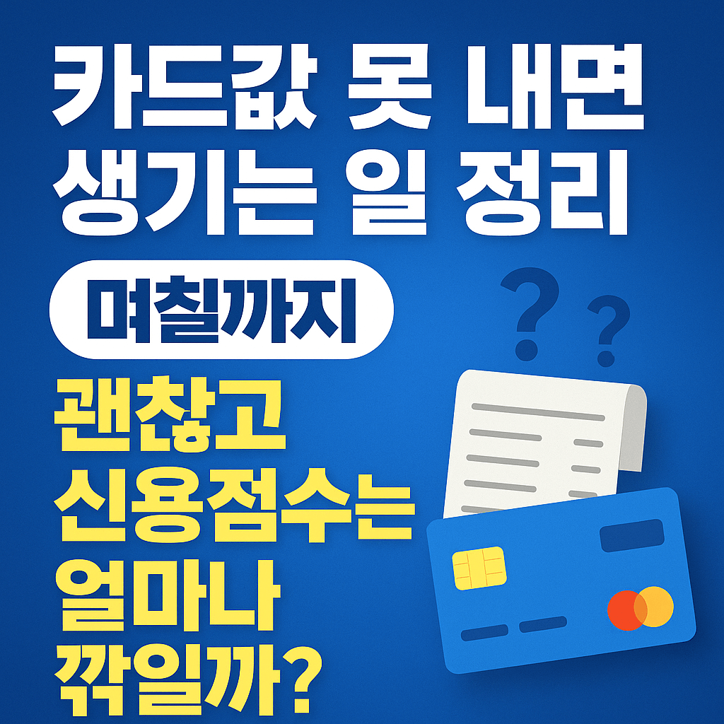 한국 카드값 못 내면 생기는 일 정리