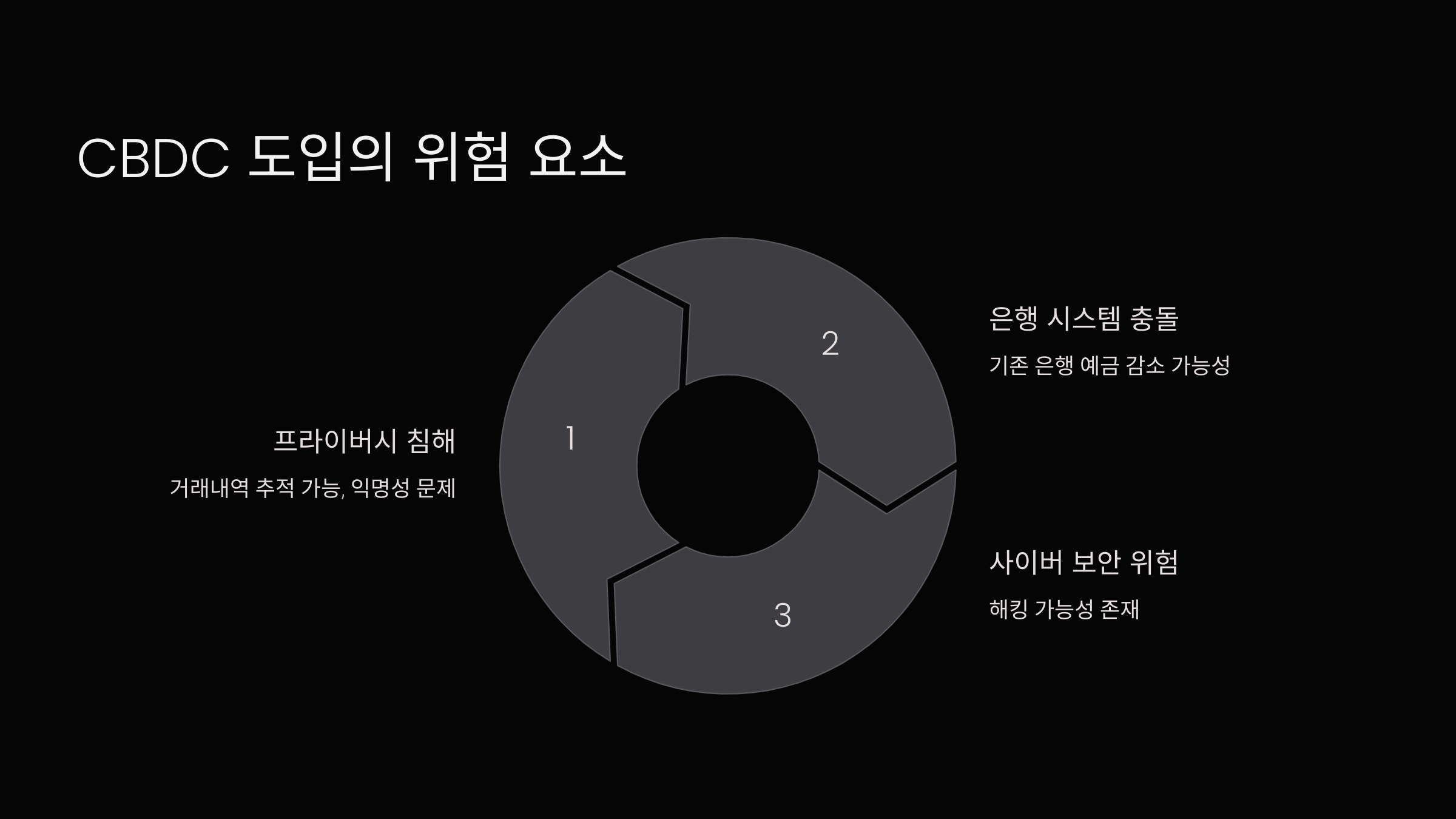 CBDC 도입의 위험 요소