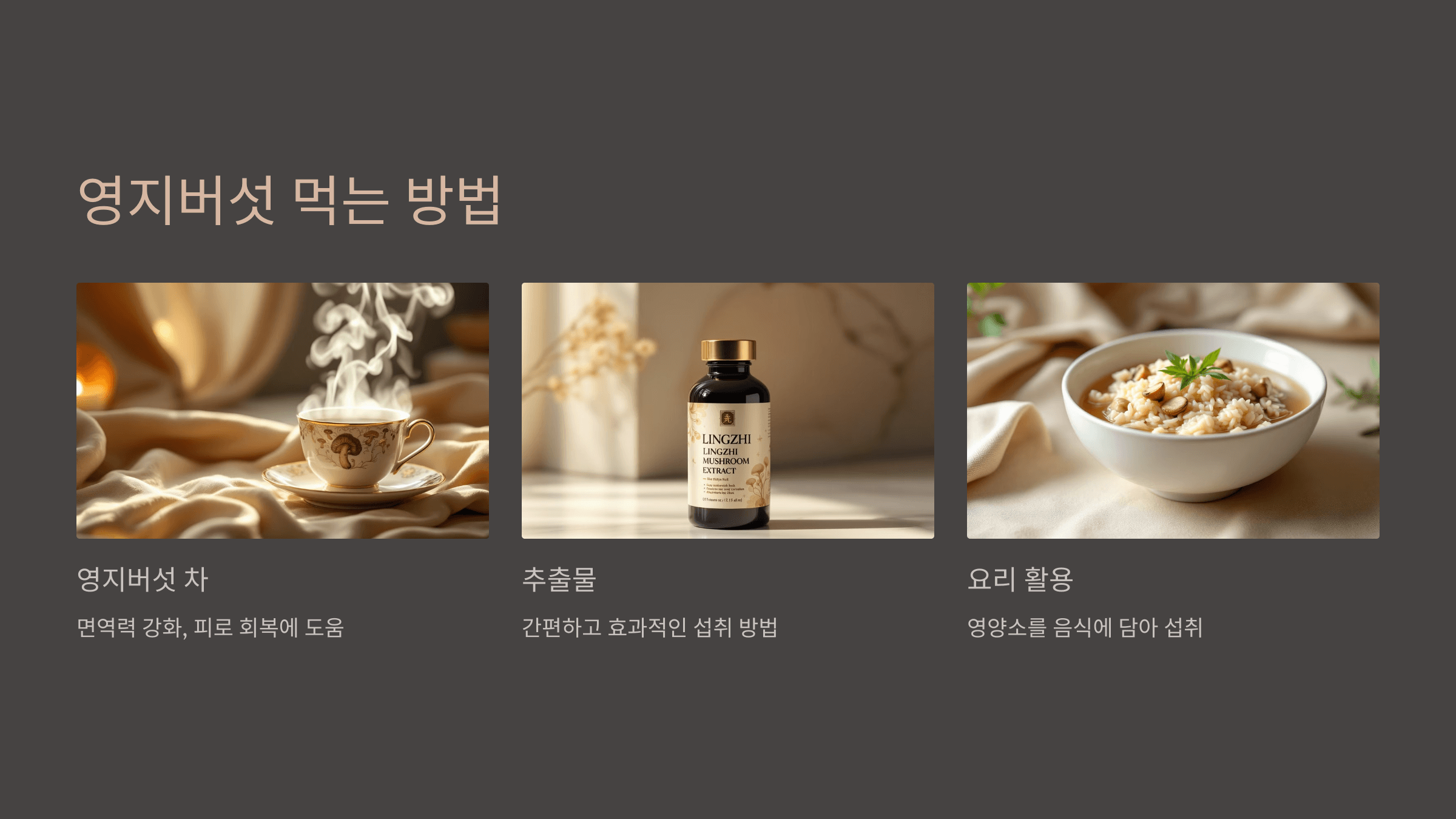 영지버섯 사진입니다.