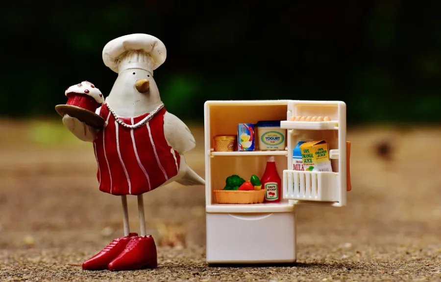 냉장고 냄새 제거와 정리 꿀팁 - 7