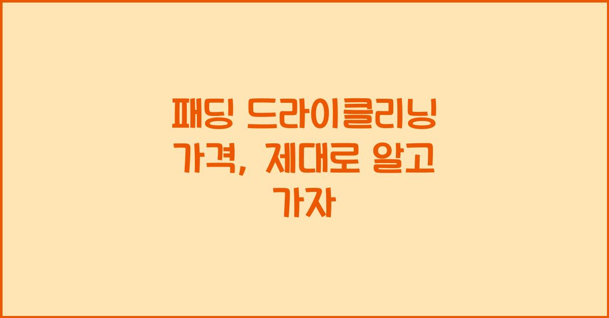 패딩 드라이클리닝 가격