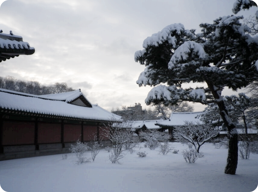창덕궁 후원 예약 알아보기 - 창덕궁 관람시간 및 요금 - 창덕궁 관람요금