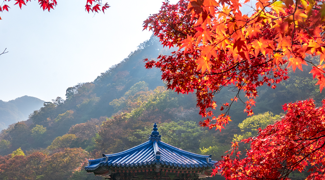 내장산 국립공원