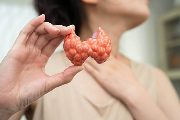 목에 혹이 만져진다면? 갑상선 결절 주요 증상과 진단법