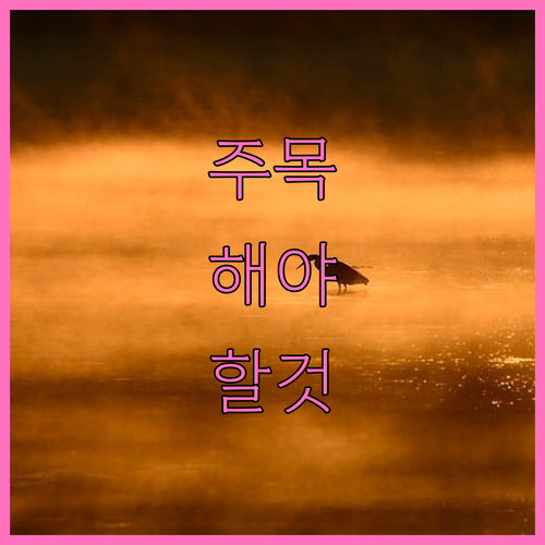 폐가전 무료 수거! 금정구 대형 가전..