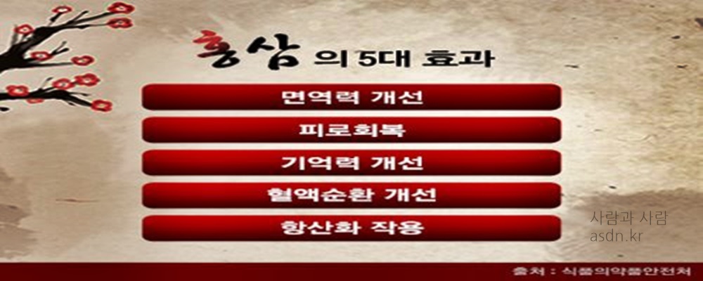 정관장 홍삼 효능 효과,성분,가격,부작용 총정리