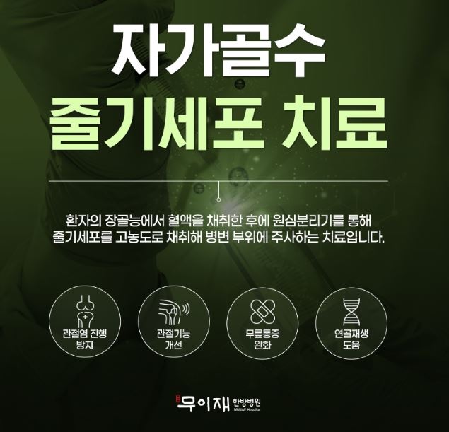 무릎줄기세포주사 병원추천 전국단위(서울,남양주,인천,용인,대전,청주,대구,부산)