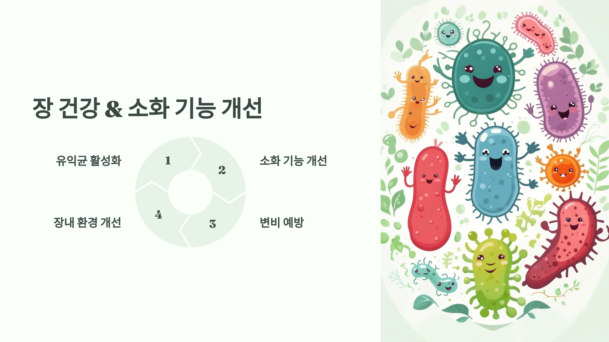 대마종자유 사진입니다.
