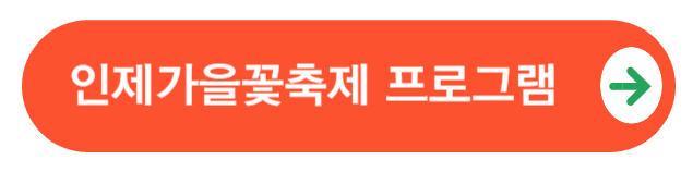 인제가을꽃축제프로그램