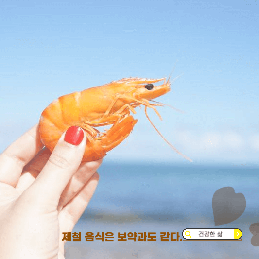 11월에 맛있는 회