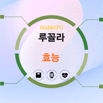 루꼴라 효능 5가지