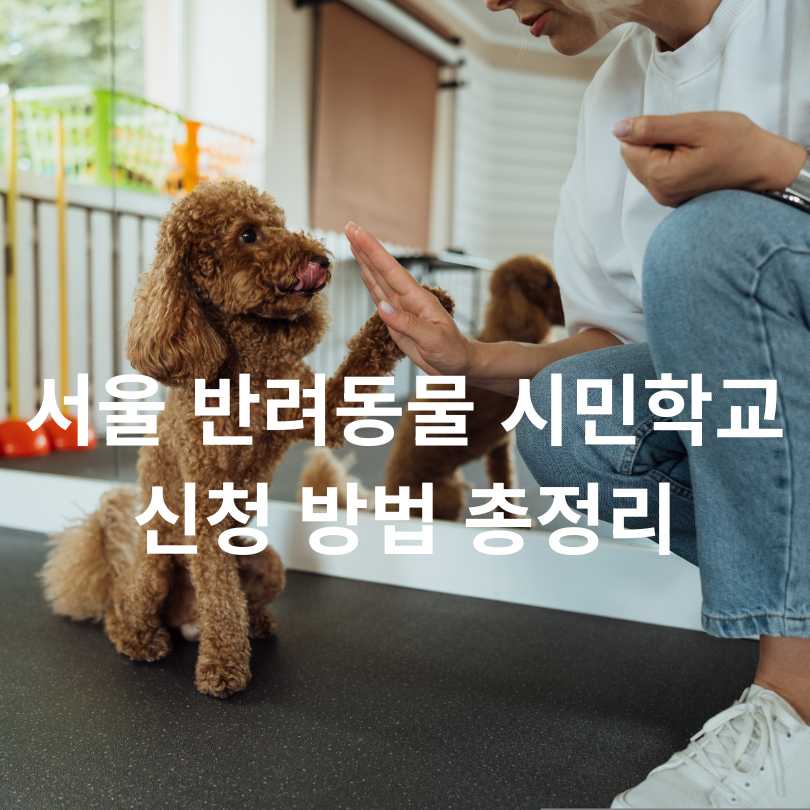 서울 반려동물 시민학교 신청 방법 총정리