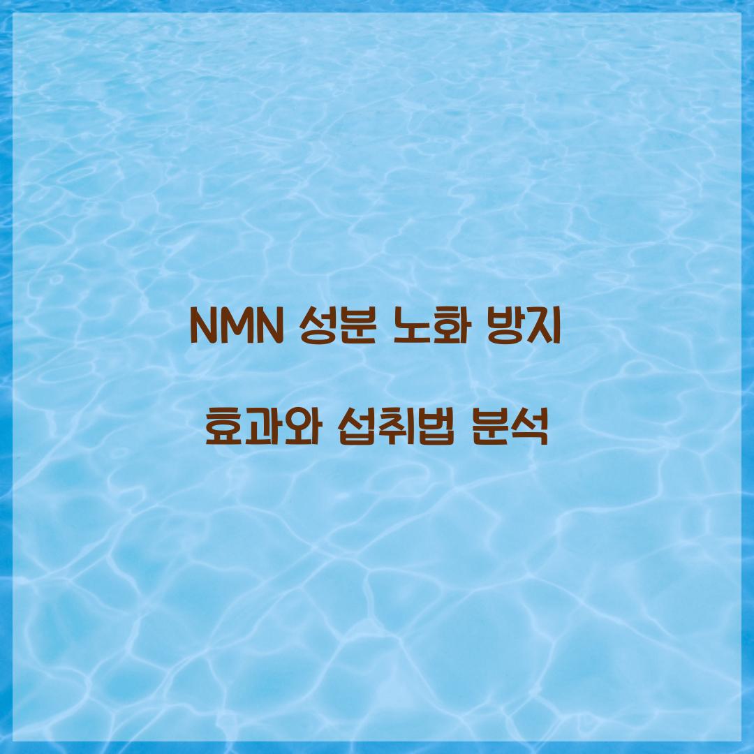 NMN 성분 노화 방지