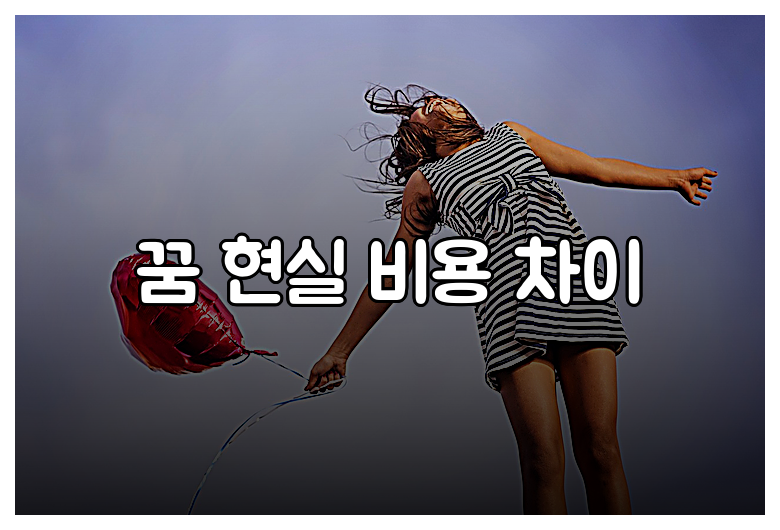 꿈 현실 비용 차이