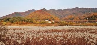 대청호반길 단풍 명소