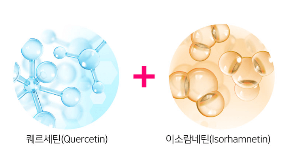 시서스-추출물-사진