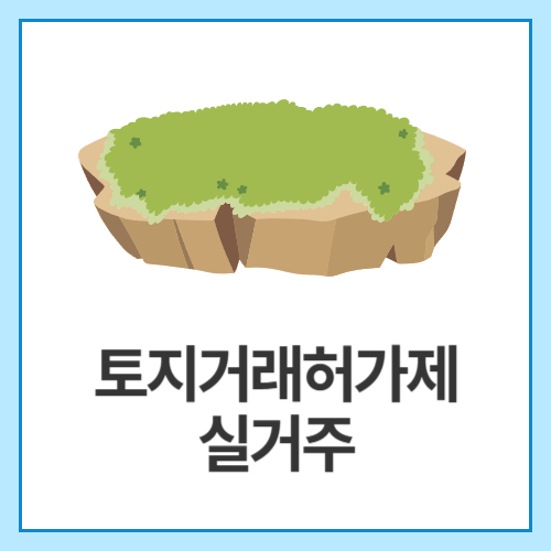 토지거래허가제-실거주