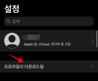 페이스아이디 대체외모