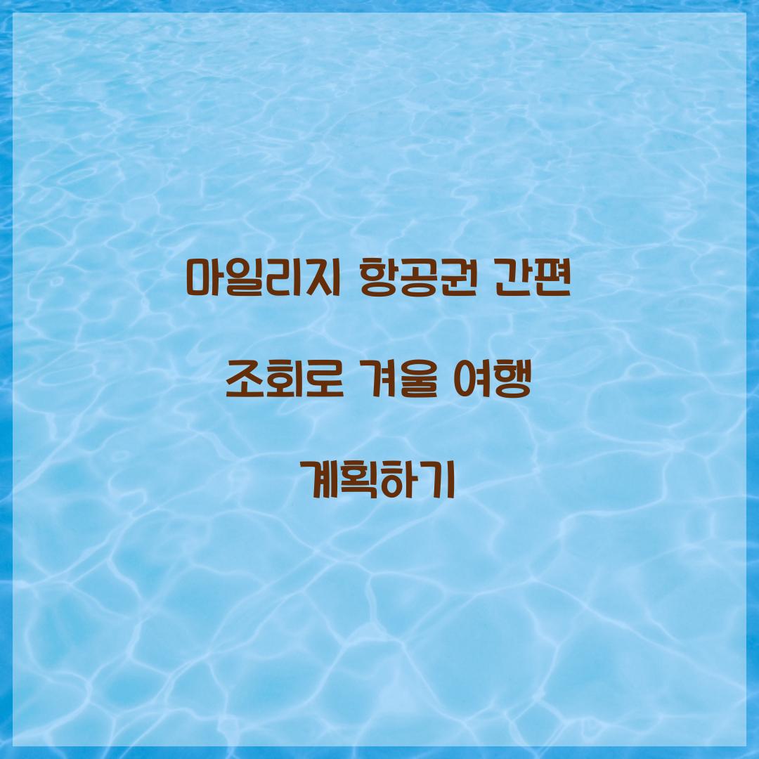 마일리지 항공권 간편 조회