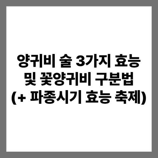 양귀비 술 3가지 효능 및 꽃양귀비 구분법 (+ 파종시기 효능 축제)