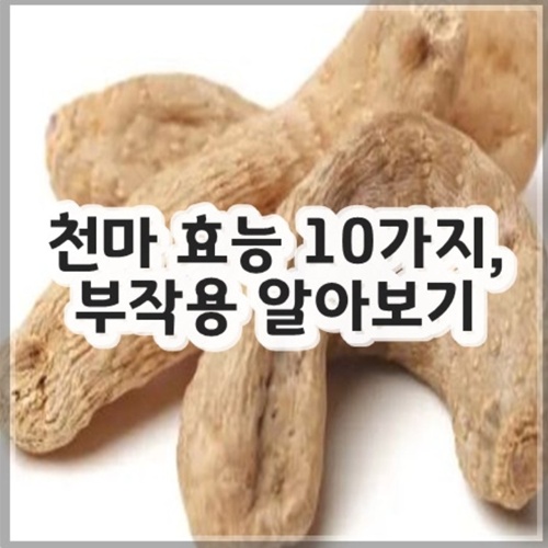 천마 효능 10가지, 부작용 알아보기