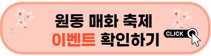 2023 양산 매화 축제