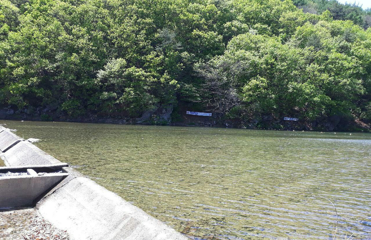 경기-남양주-물동네힐링-캠핑장-사진-입니다.